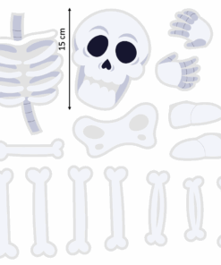 Set arma tu esqueleto adulto (15 cm alto cabeza)